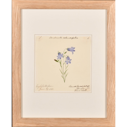 61 - 19th Century English School. A Set of Twelve Flower Studies, Watercolour, Each inscribed and dated, ... 