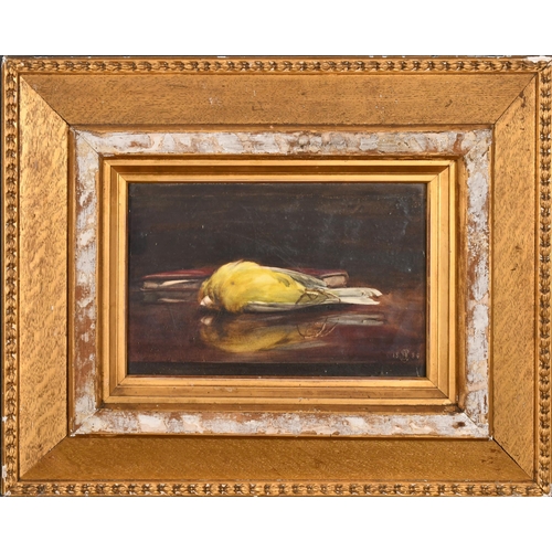 71 - 19th Century English School. A Dead Finch, Watercolour, Signed with monogram and dated 1886, 6.5