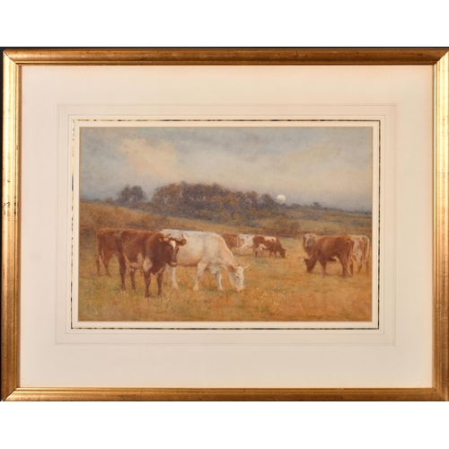 175 - Berenger Benger (1868-1935) British. Cattle at Dusk, Watercolour, Signed and dated 1901, 11.25