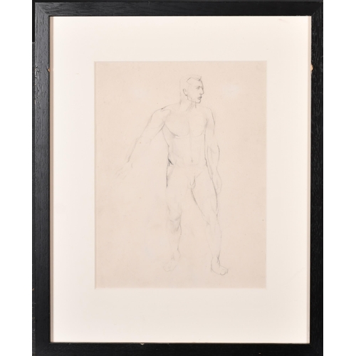 186 - John Minton (1917-1957) British. Male Nude, c.1950, Pencil, Inscribed on a label verso, 13.5