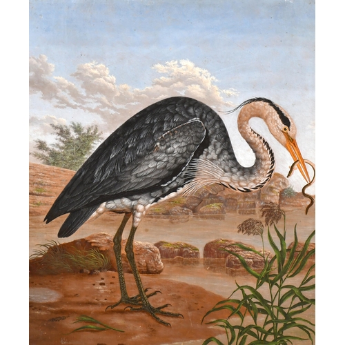 26 - Early 19th Century Anglo-Indian School. A Heron by the Water's Edge, Oil on panel, 10.5