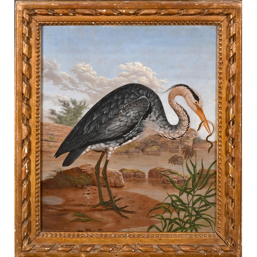 26 - Early 19th Century Anglo-Indian School. A Heron by the Water's Edge, Oil on panel, 10.5