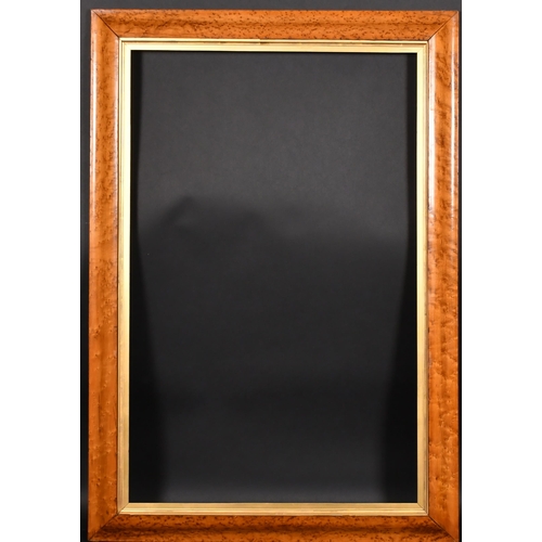 348 - 19th Century English School. A Bird's Eye Maple Frame, with a gilt slip, rebate 36