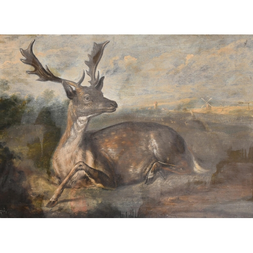 35 - Circle of Francis Barlow (1626-1704) British. A Resting Fallow Buck, Oil on canvas, unframed 25