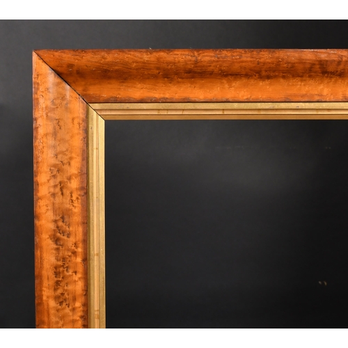 401 - 19th Century English School. A Bird's Eye Maple Frame, with a gilt slip, rebate 27