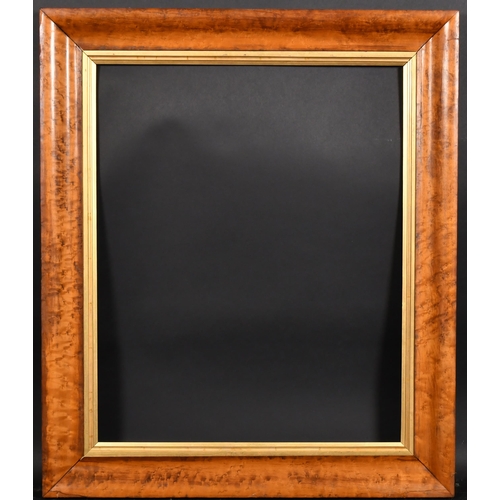 401 - 19th Century English School. A Bird's Eye Maple Frame, with a gilt slip, rebate 27