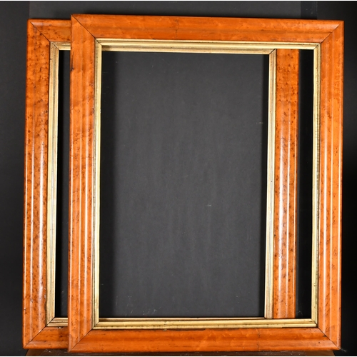 431 - 19th Century English School. A Pair of Maple Frames, with gilt slips, rebate 24