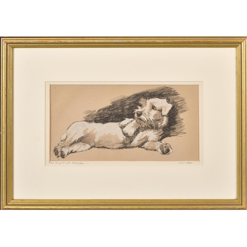 51 - Cecil Aldin (1870-1935) British. A Sealyham Terrier, Lithograph with bodycolour, Bears a signature a... 