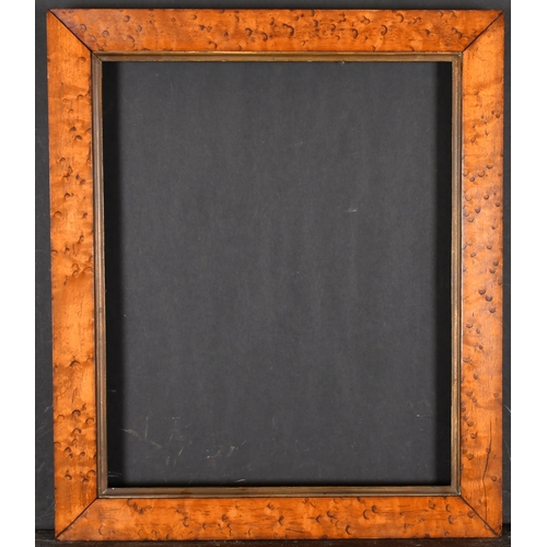 513 - 19th Century English School. A Bird's Eye Maple Frame, with a gilt slip, rebate 16.5