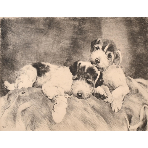 52 - Kurt Meyer-Eberhardt (1895-1977) German. Puppies on a Bed, Print, Signed in pencil, 8.75