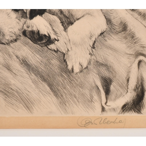 52 - Kurt Meyer-Eberhardt (1895-1977) German. Puppies on a Bed, Print, Signed in pencil, 8.75