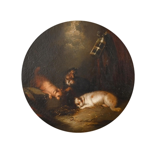 57 - Circle of George Armfield (1808-1893) British. Terriers in a Barn, Oil on canvas, Framed circular, 1... 