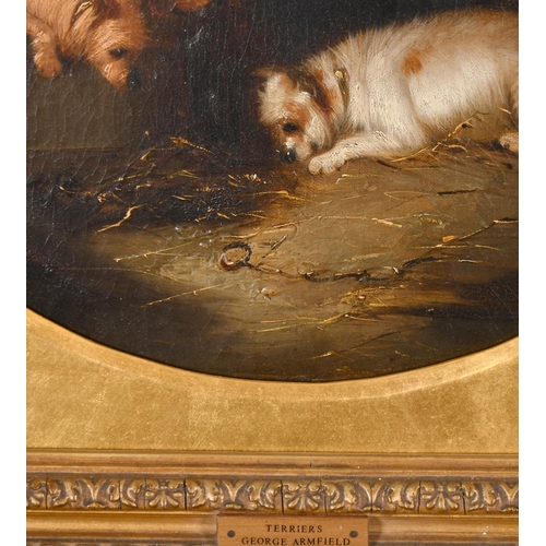 57 - Circle of George Armfield (1808-1893) British. Terriers in a Barn, Oil on canvas, Framed circular, 1... 