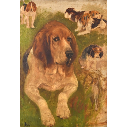 64 - Thomas Blinks (1860-1912) British. Studies of Hounds, Oil on canvas, Signed, 23