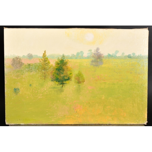 266 - Lionel Bulmer (1919-1992) British. The Meadow, Oil on canvas laid down, Signed, unframed 20