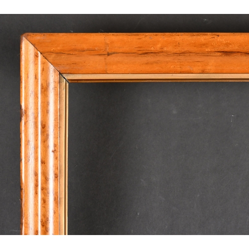 329 - 19th Century English School. A Bird's Eye Maple Frame, with a gilt slip, rebate 28