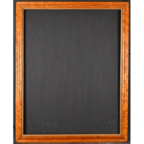 329 - 19th Century English School. A Bird's Eye Maple Frame, with a gilt slip, rebate 28