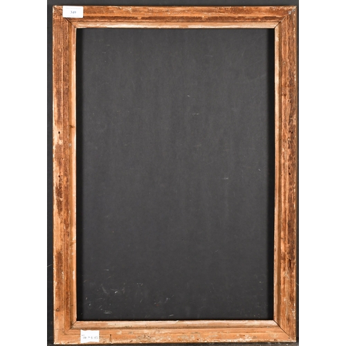 349 - 19th Century European School. A Carved Giltwood Frame, rebate 22.5