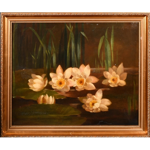 85 - Late 19th Century English School. 'Lillies', Oil on canvas laid down, 19