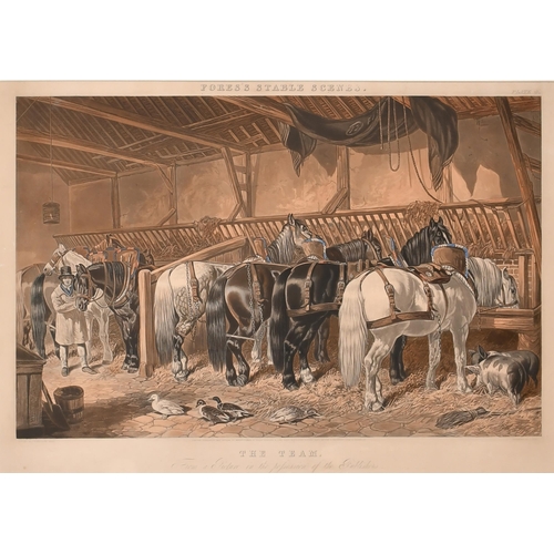 108 - After John Frederick Herring Snr (1795-1865) British. A Set of Fores's Stable Scenes, Engraving, In ... 