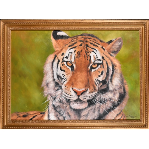 123 - M Seony Kim (20th-21st Century) British. Tiger, Oil on canvas, Indistinctly signed, 24