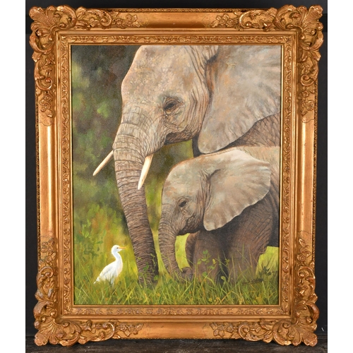 124 - David Stribbling (1959-) British. Elephant and Calf, Oil on canvas, Signed, 20