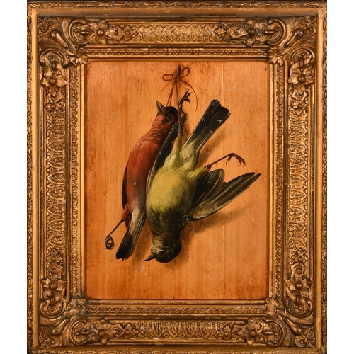 32 - 19th Century English School. A Pair of Still Life with Hanging Birds, Oil on panel, 8.25