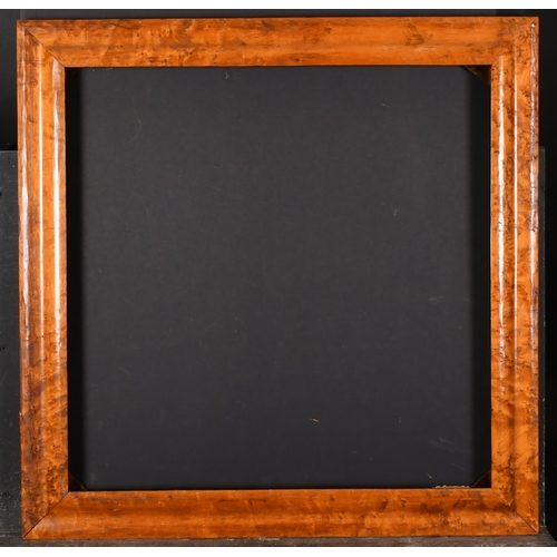 361 - 19th Century English School. A Maple Frame, rebate 20.75