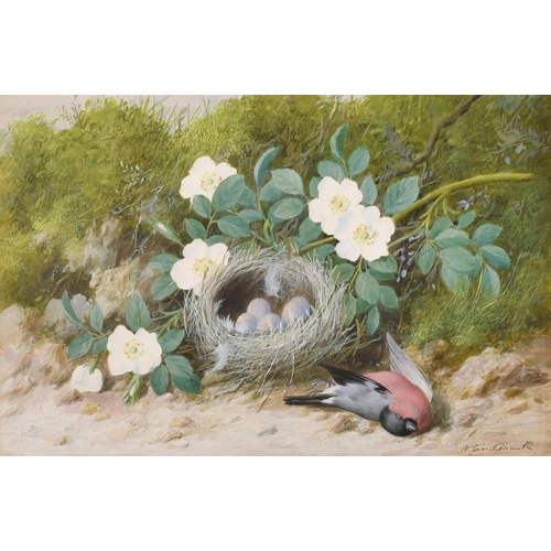 62 - William Cruikshank (1848-1922) British. A Pair of Still Life with Birds' Nests, Watercolour, Signed,... 