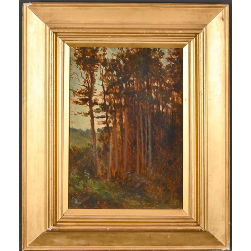 92 - Late 19th Century English School. Edge of the Forest, Oil on board, 15