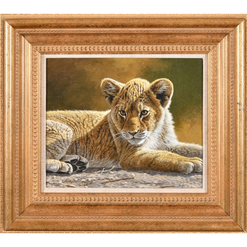 141 - Stephen Gayford (1954-2015) British. 'Lady in Waiting-Lion Cub', Acrylic on canvas laid down, Signed... 