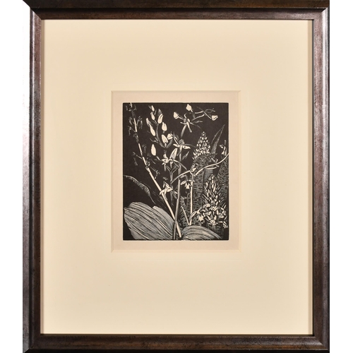 169 - John Nash (1893-1977) British. 'Orchids', Woodcut, Inscribed on a label verso, 5.5' x 4.25' (14 x 10... 