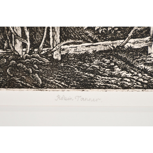 189 - Robin Tanner (1904-1988) British. 'The Old Road', Etching, Signed in pencil, 11.75' x 9.25' (29.8 x ... 