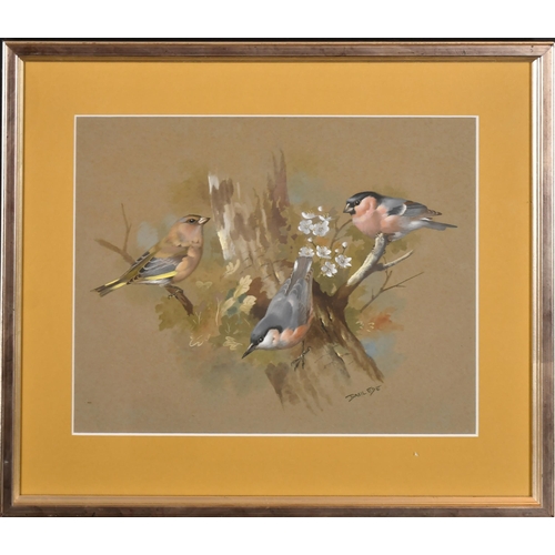 242 - Basil Ede (1931-2016) British. Finches on a Branch, Watercolour, Signed, 9' x 11.5' (22.8 x 29.2cm)