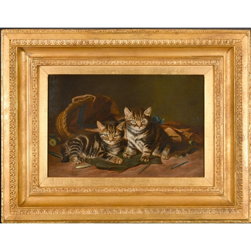 96 - Horatio Henry Couldery (1832-1893) British. 'Playful Kittens', Oil on canvas, 12' x 18' (30.5 x 45.7... 