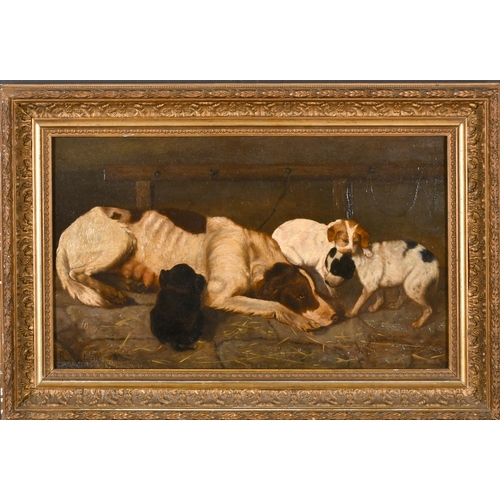 99 - R Law (19th Century) British. A Hound with her Puppies, Oil on panel, Signed and dated '72, 9.5' x 1... 