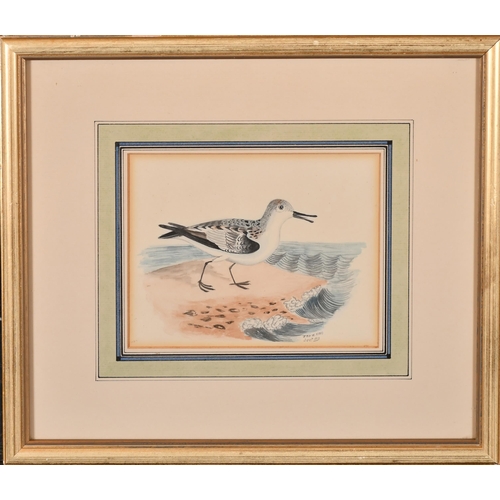 104 - Thomas W King (fl.1830-1840) British. A Gull on a Beach, Watercolour, Signed and dated 'Dec 1810, 5.... 