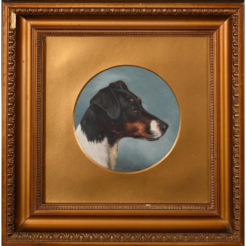 107 - John Alfred Wheeler (1821-1903) British. Head of a Terrier, Oil on board, Signed, Circular 6.5