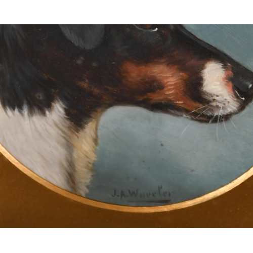 107 - John Alfred Wheeler (1821-1903) British. Head of a Terrier, Oil on board, Signed, Circular 6.5