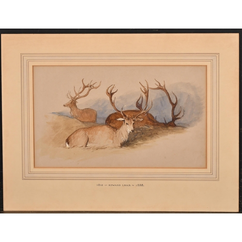 13 - Attributed to Edward Lear (1812-1888) British. Resting Deer, Watercolour, Inscribed on the mount, mo... 