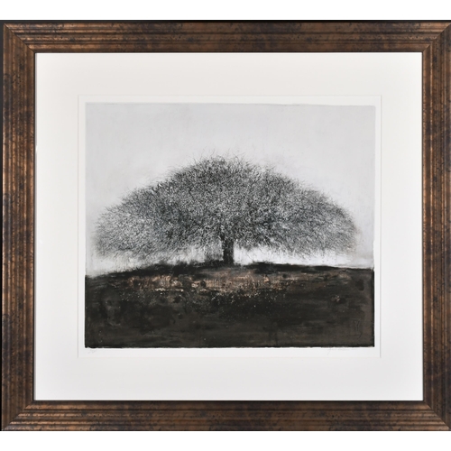 305 - Gail Leath (20th-21st Century) British. Tree, Lithograph, Signed, numbered 157/300 and dated 2007 in... 