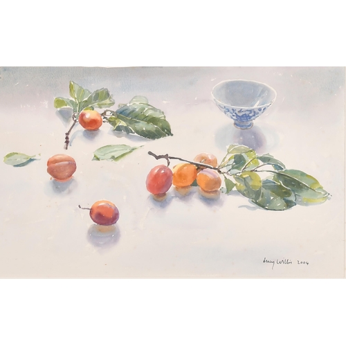 185 - Lucy Willis (1954-) British. 'Plums', Watercolour, Signed and dated 2004, and inscribed on a label v... 