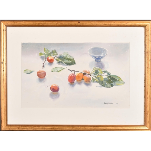 185 - Lucy Willis (1954-) British. 'Plums', Watercolour, Signed and dated 2004, and inscribed on a label v... 