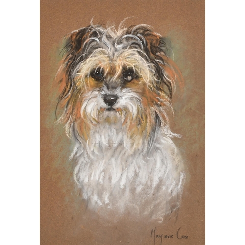 89 - Marjorie Cox (1915-2003) British. Head of a Terrier, Pastel, Signed, 13