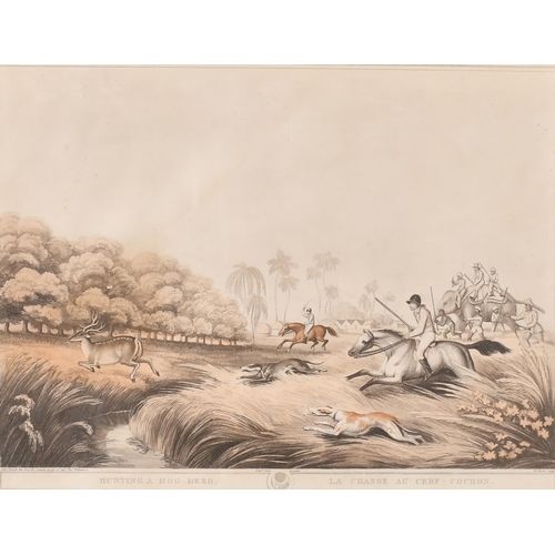 Lot 23        