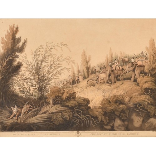 Lot 24        