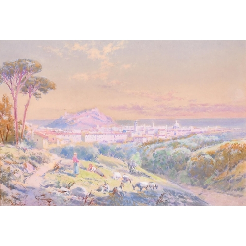 Lot 55        