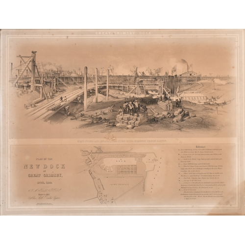 Lot 35        