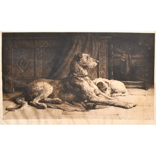 Lot 58        