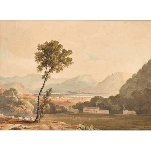 Lot 18        